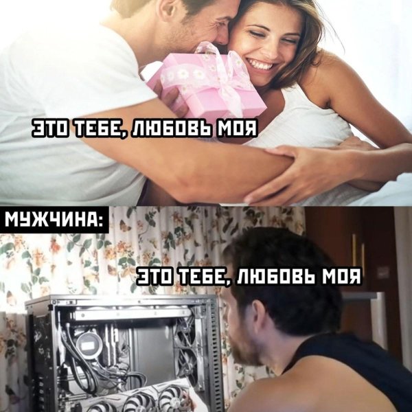 приколы и мемы