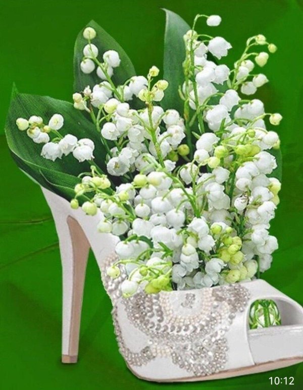 садовые ландыши