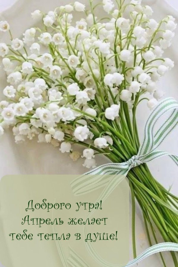 ландыши цветок