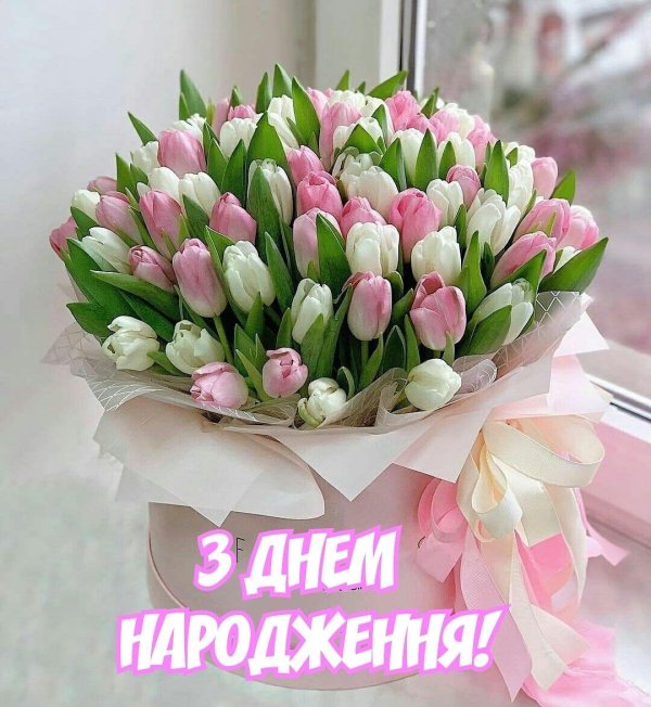 нежные тюльпаны