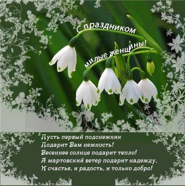 пусть первый подснежник