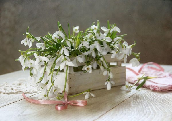 подснежник букет
