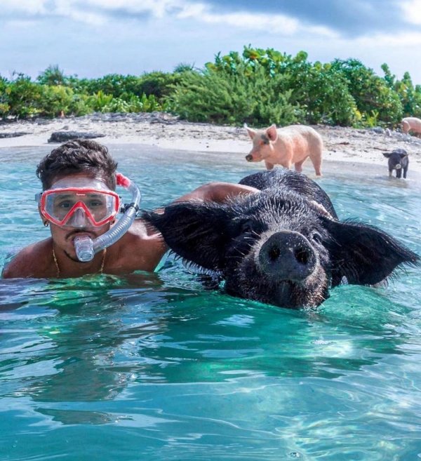 остров эксума багамы