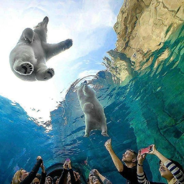 интересная фотография