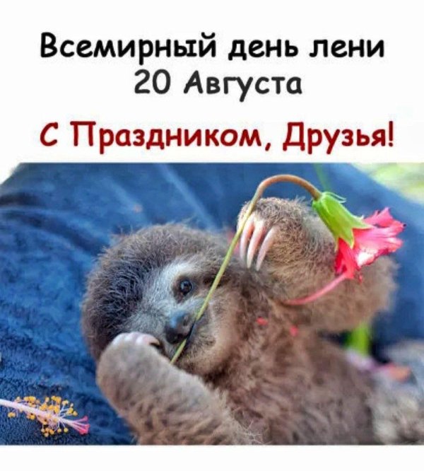 всемирный день лени