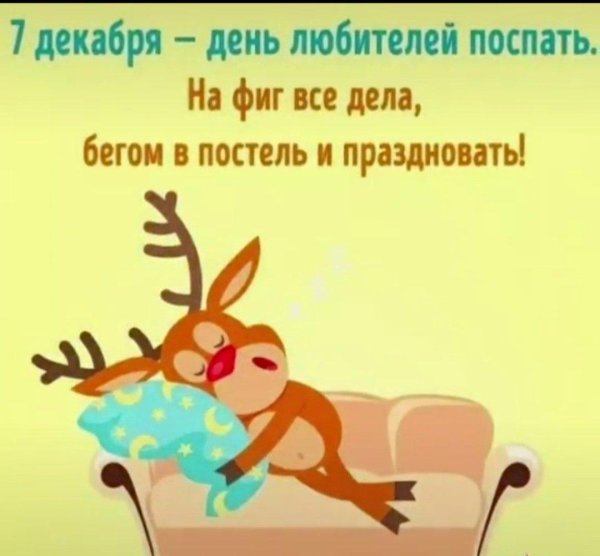 декабря день любителей поспать