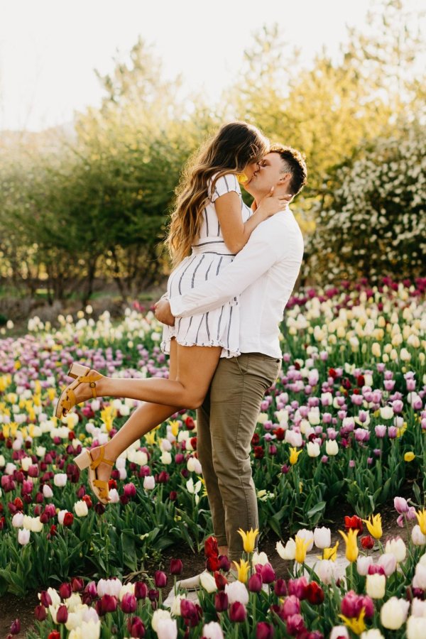 поле тюльпанов