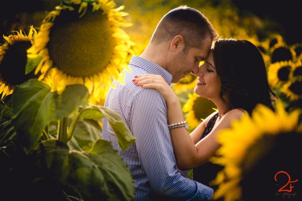 пара в подсолнухах