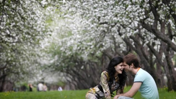 влюблённая весна