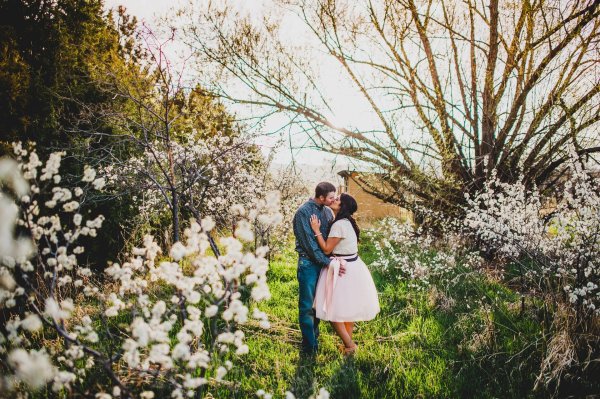 лав стори в цветении