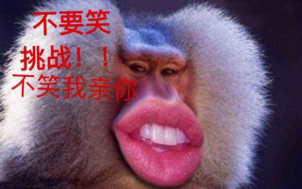 павиан гамадрил