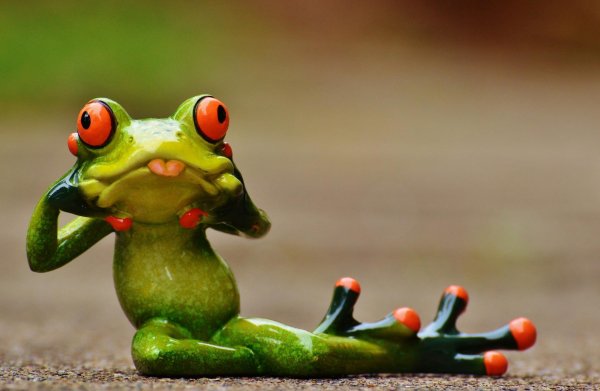 забавная лягушка
