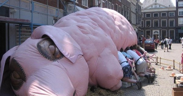 надувная свинья