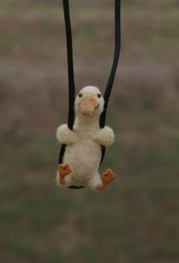 забавные зверюшки