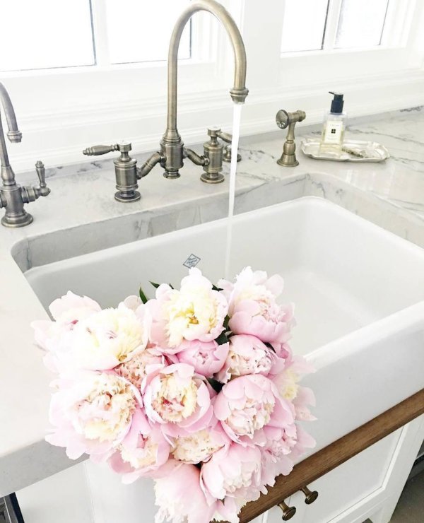 цветы в раковине