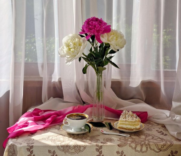 пионы валентины коловой