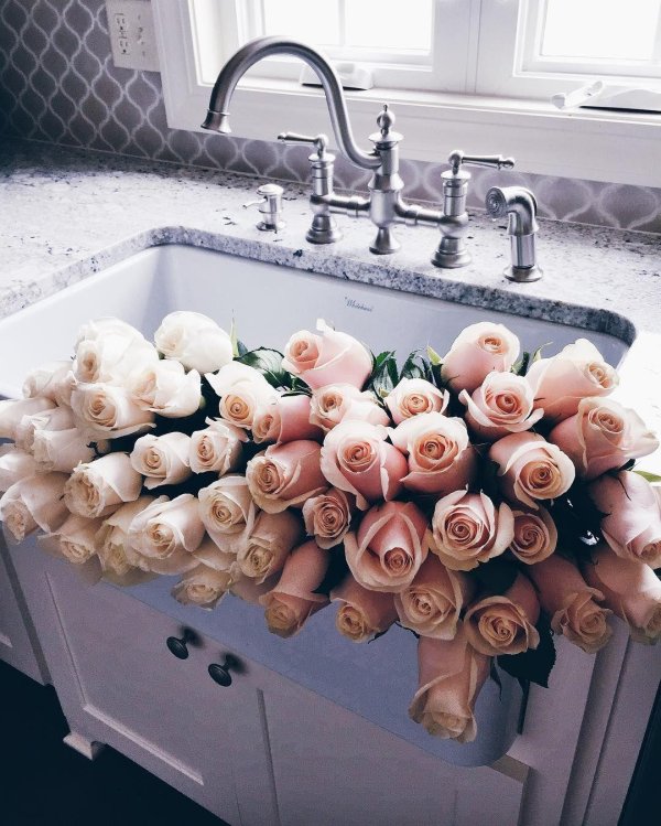 букет роз пинтерест эстетика