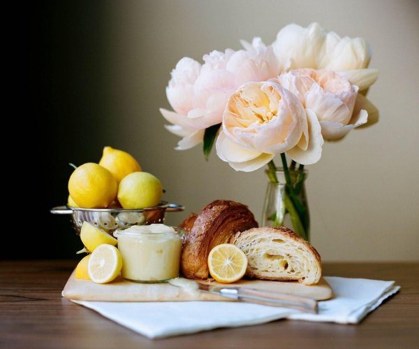 красивые натюрморты