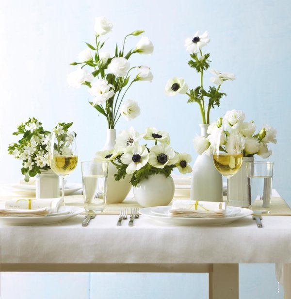 анемон белый