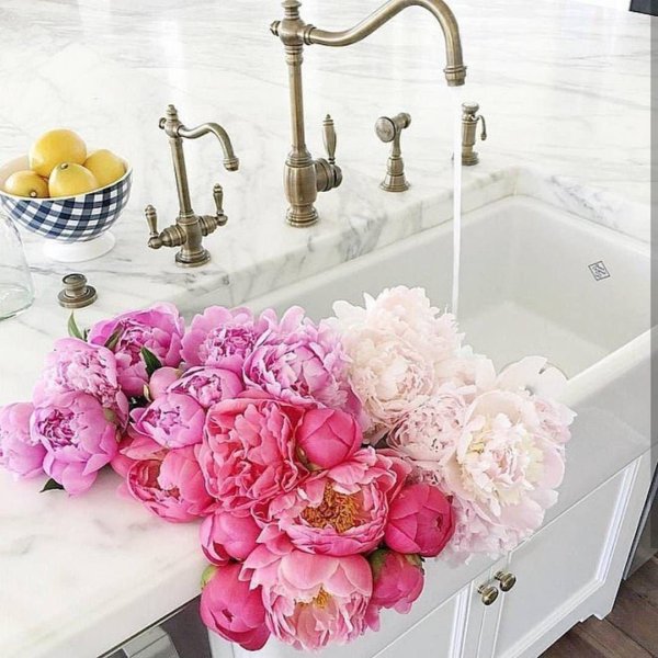 розовые пионы