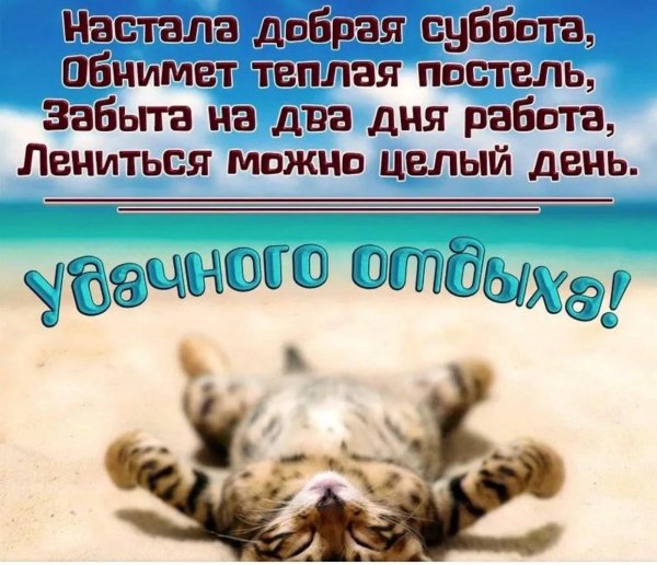 долгожданный отпуск