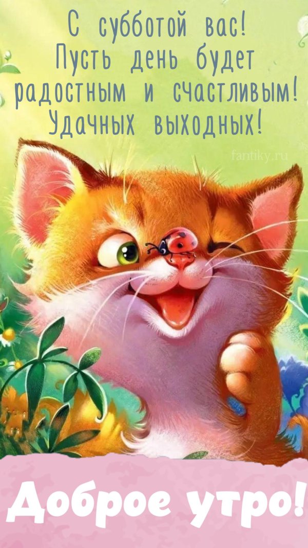 позитивные открытки с добрым утром