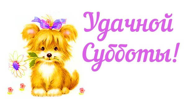 удачной субботы