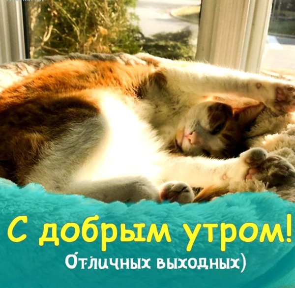 суббота утро