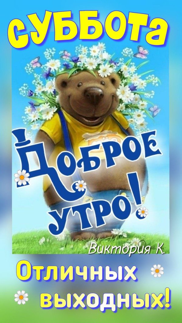 медведь доброе утро