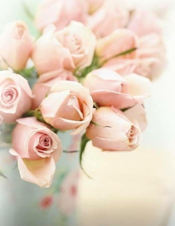 нежный цветок