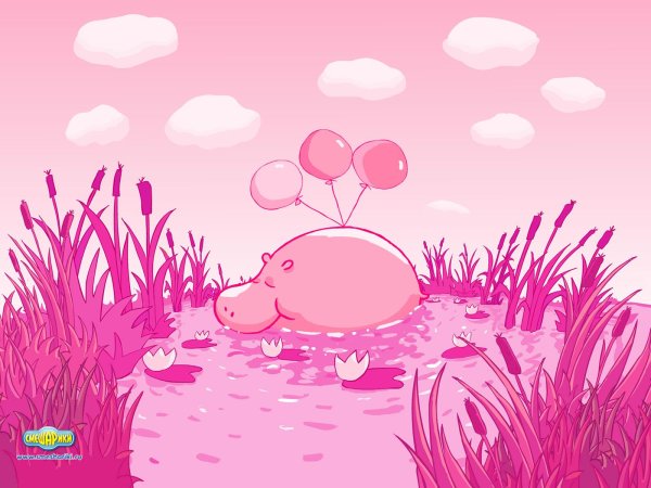 розовые бегемоты