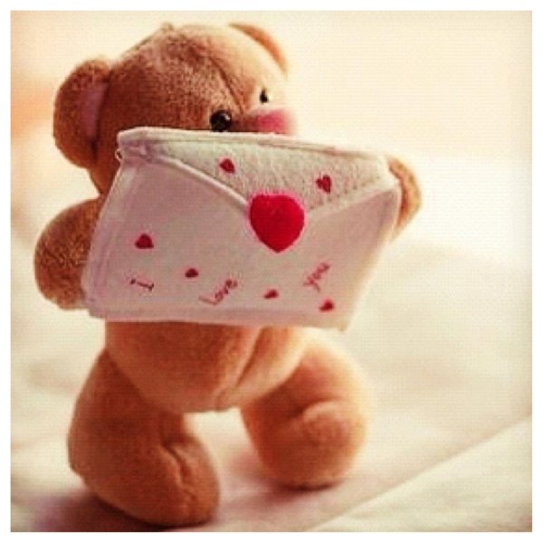 медведи игрушки