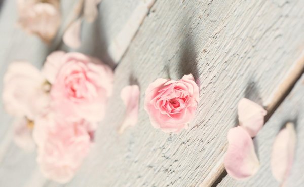 красивый фотофон