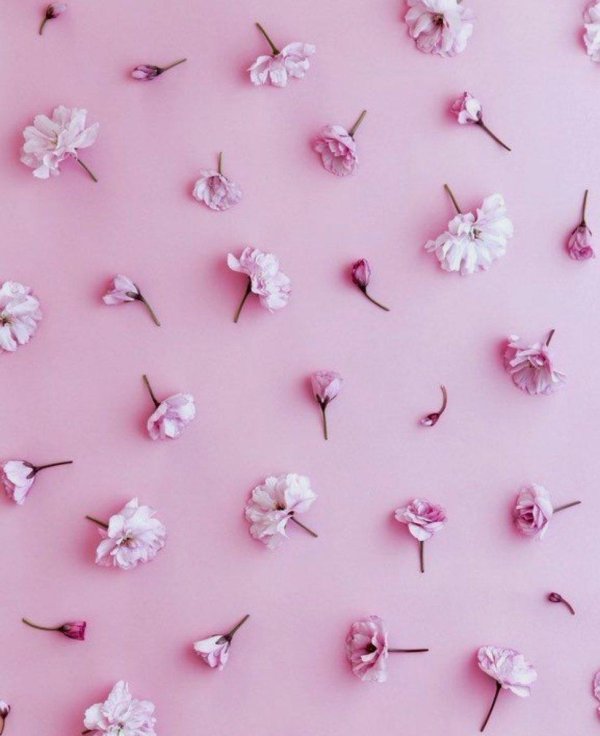 мелкие розовые цветочки