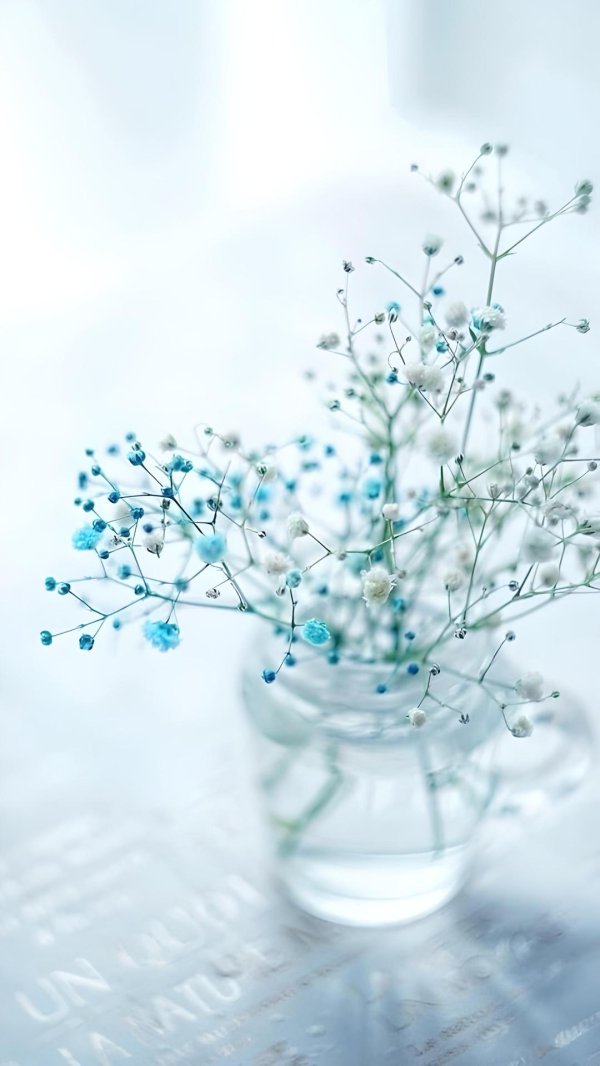 синие гипсофилы