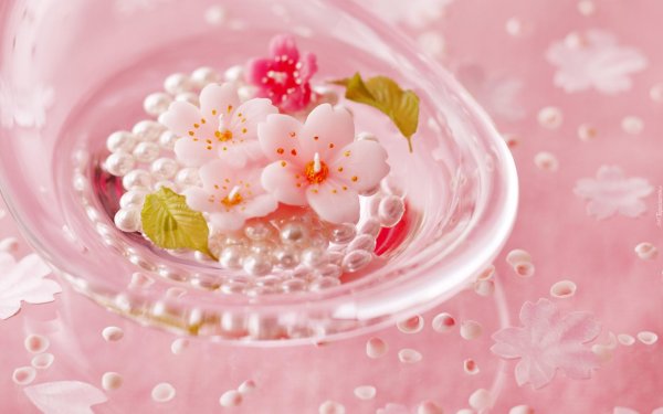 красивая цветок