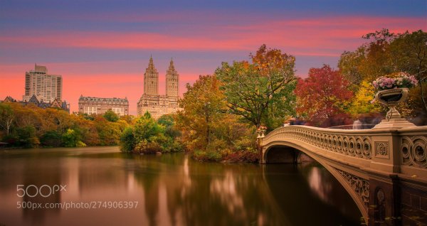 центральный парк ньюйорк мостик