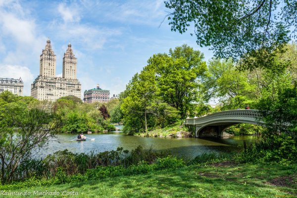 central park new york