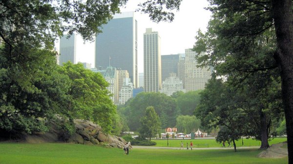 central park new york city