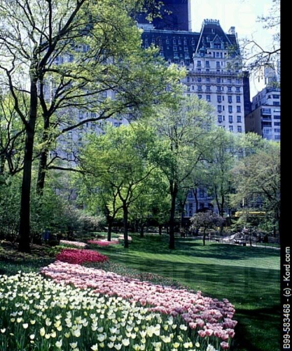 central park in spring