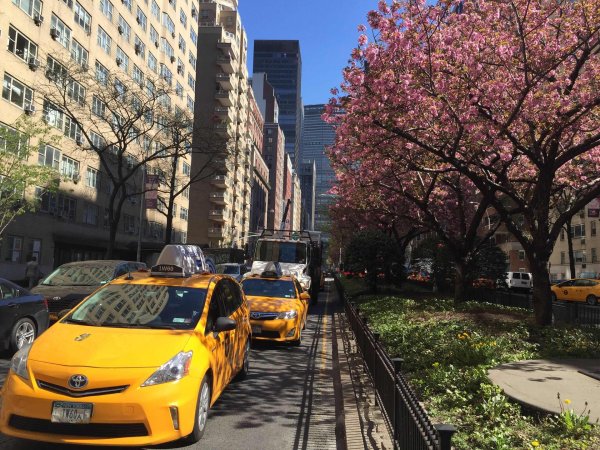 спринг стрит ньюйорк