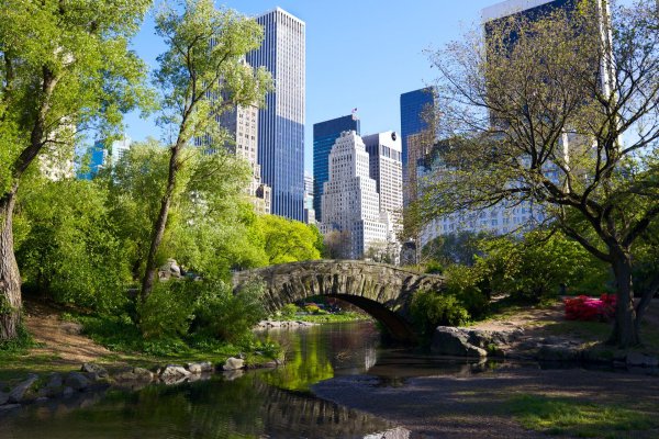 центральный парк ньюйорк мостик