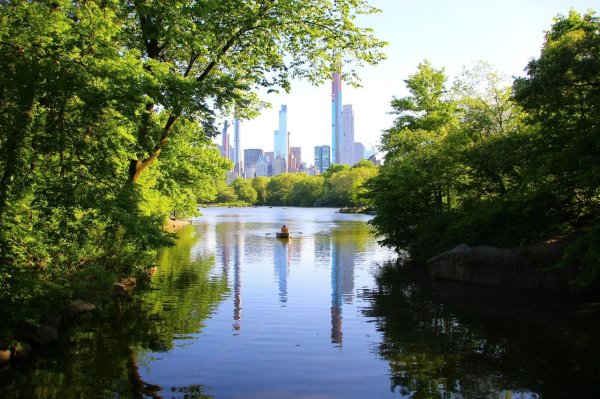 central park new york
