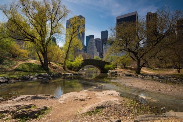 мост в централ парке нью йорка