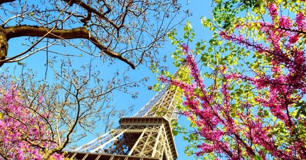 эйфель башня tour eiffel