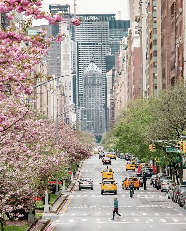 spring in new york