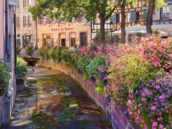 эльзас франция