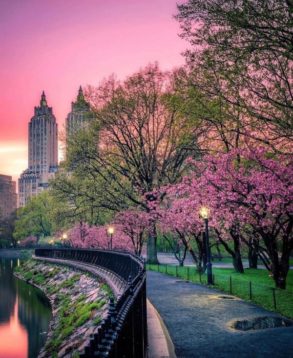 нью йорк весной