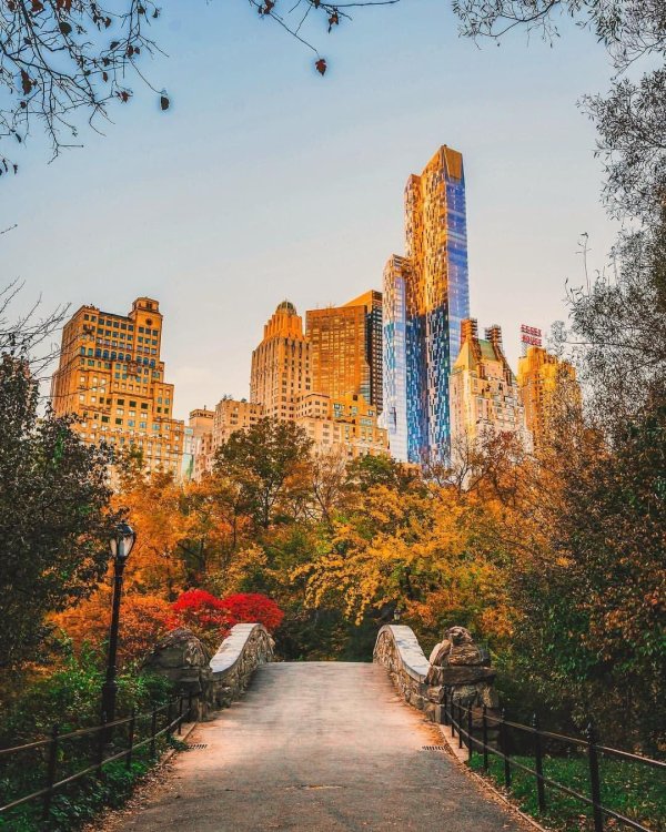 центр парк ньюйорк