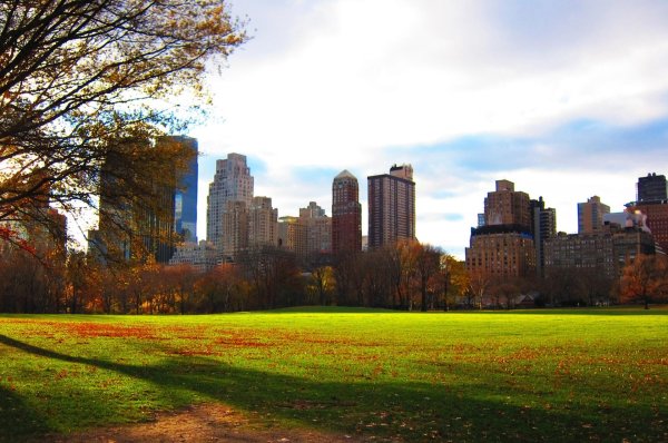 ньюйорк сити центральный парк